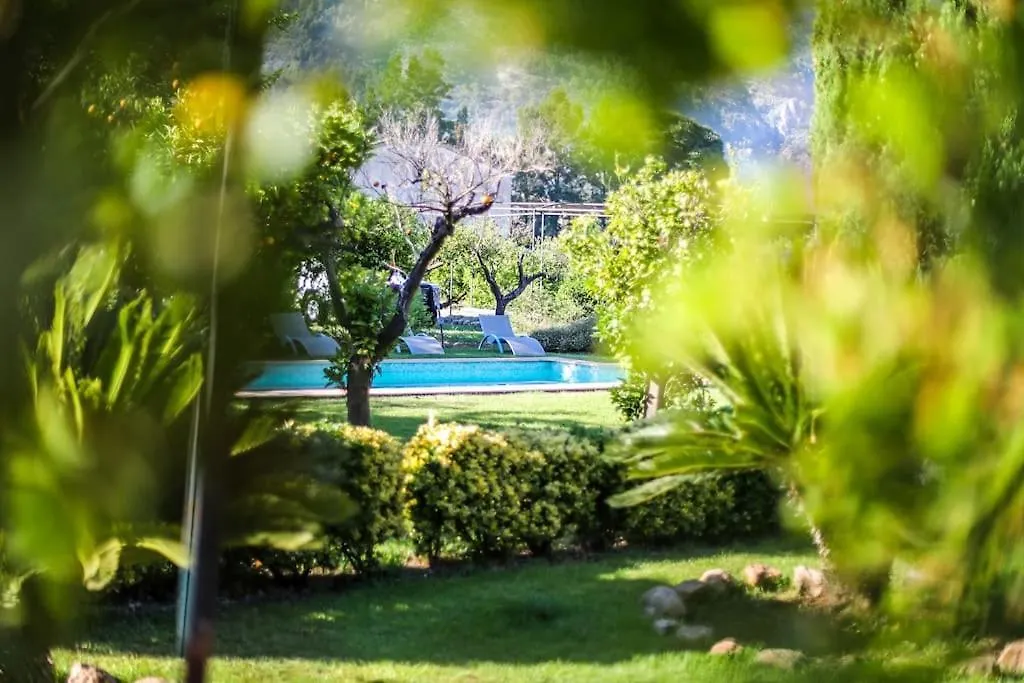 Villa Massana, Excelentes Vacaciones Con Piscina ソリェル